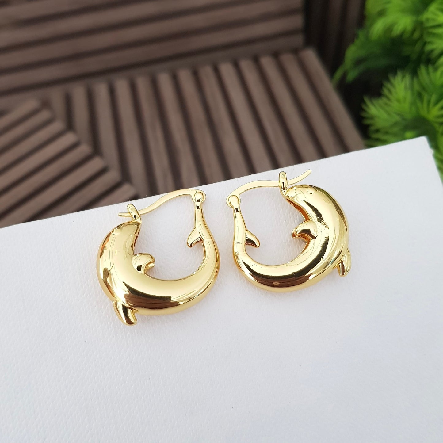 Earrings
